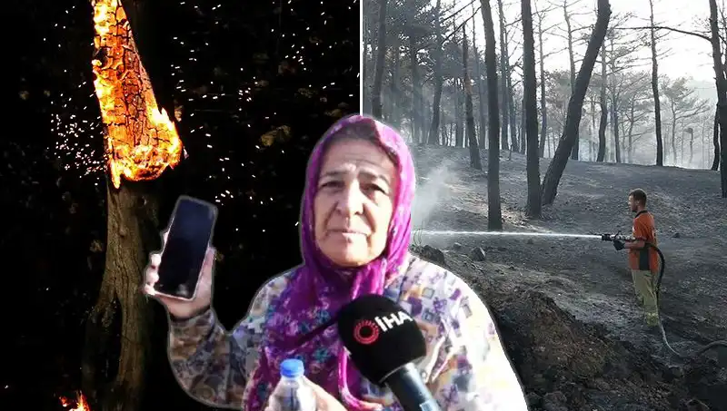 Çanakkale'deki Orman Yangınları Kontrol Altına Alındı: Kayıplar ve Kurtarma Çabaları