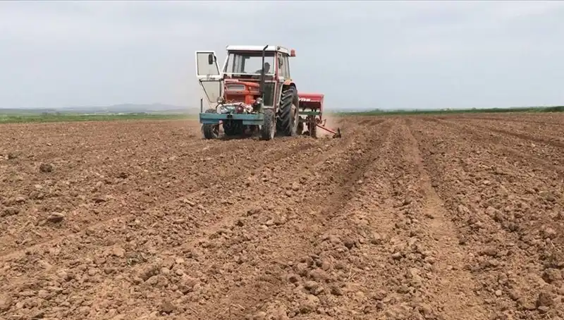 Son 35 Yılın En Kurak Mart'ı: Yağış Oranı Zatürreyi Geride Bıraktı