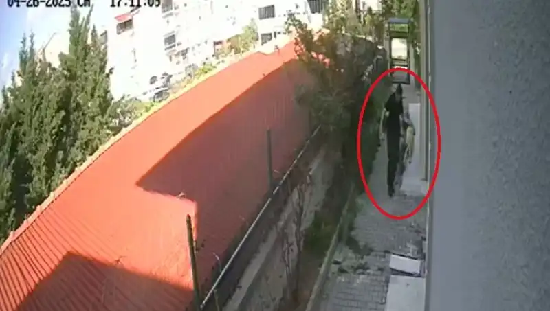 Veteriner Doktorun Dehşet Verici İfşası: Sahiplendiği Köpekleri Katletti