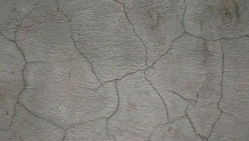 Canlı Beton: Geleceğin İnşaat Malzemesi Kendini Onarıyor!