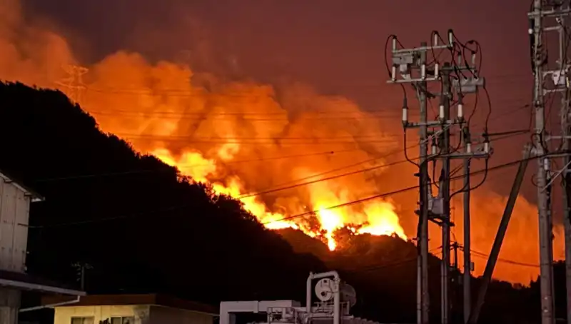 Japonya'da Orman Yangını Alarmı: İki Eyalet Küllerle Kaplandı