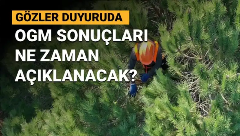 OGM Personel Alımı 2023: 3 Bin 477 Sözleşmeli Personel Sonuçları Ne Zaman Açıklanacak?