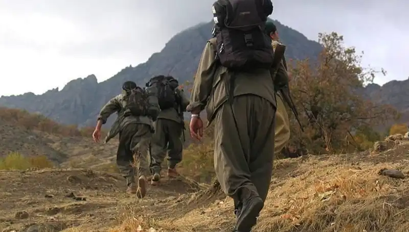Terörsüz Türkiye İçin Kritik 48 Saat: Öcalan'ın Mesajı Kandil'e Ulaşacak