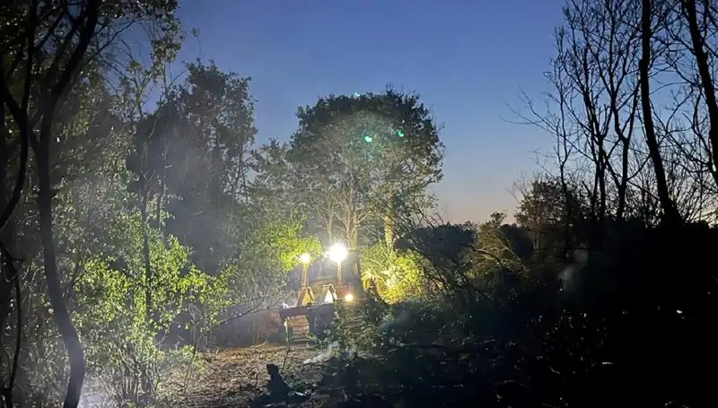 Edirne Orman Yangını Kontrol Altına Alındı: Doğa Yeniden Canlanacak