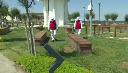 Kene Görülme Sıklığı Artıyor: Halka Açık Yerlerde İlaçlama Önlemleri Artıyor