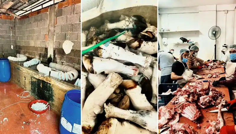 Adana'da Paça Skandalı: Yüzlerce Kilo Ele Geçirildi