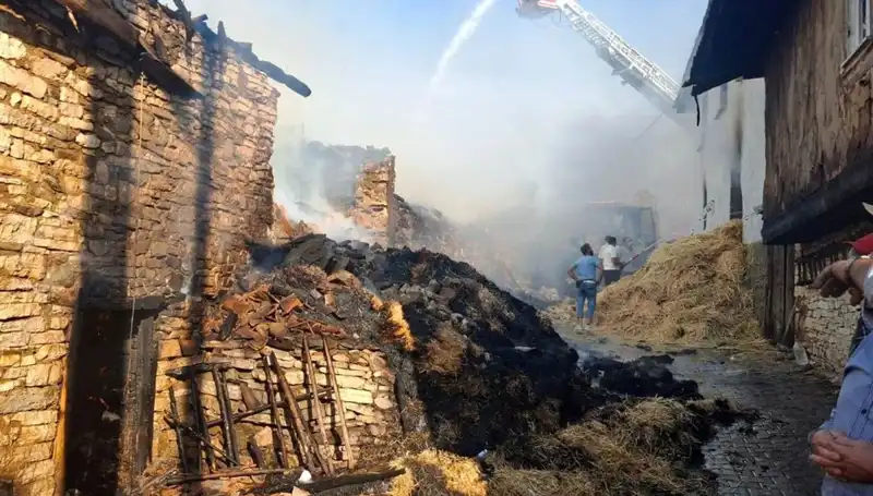 Köyde Çıkan Yangın: 4 Ev Kül Olurken, Hızla Yayılma Tehlikesi
