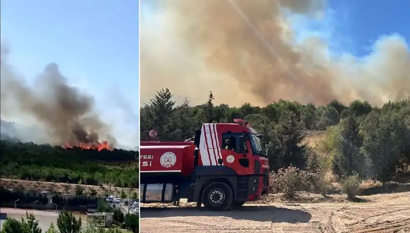 Gebze'de Korkutan Orman Yangını: Yangın ve Mücadele Açıklanıyor