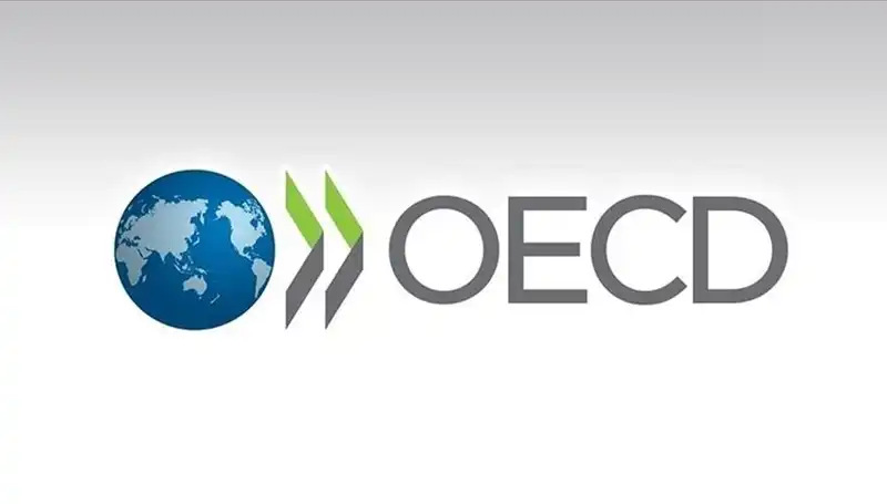 OECD, Türkiye’nin Ekonomi Büyüme Tahminini Revize Etti: Neler Olacak?
