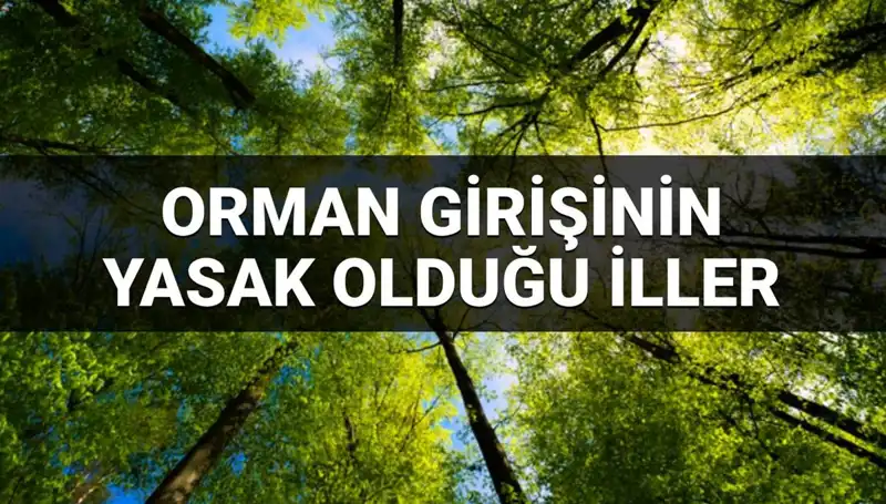 2025 Yılı İçinde Ormana Girişi Yasaklanan İller: Hangi Şehirler Etkilenecek?
