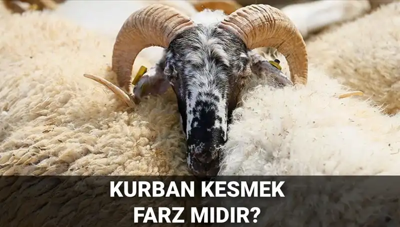 Kurban Kesmenin Farz Olup Olmadığı Hakkında Her Şey