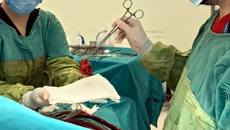 Kalp Kapağındaki Çürüme, 7 Saatlik Mucizevi Ameliyatla Aşıldı!