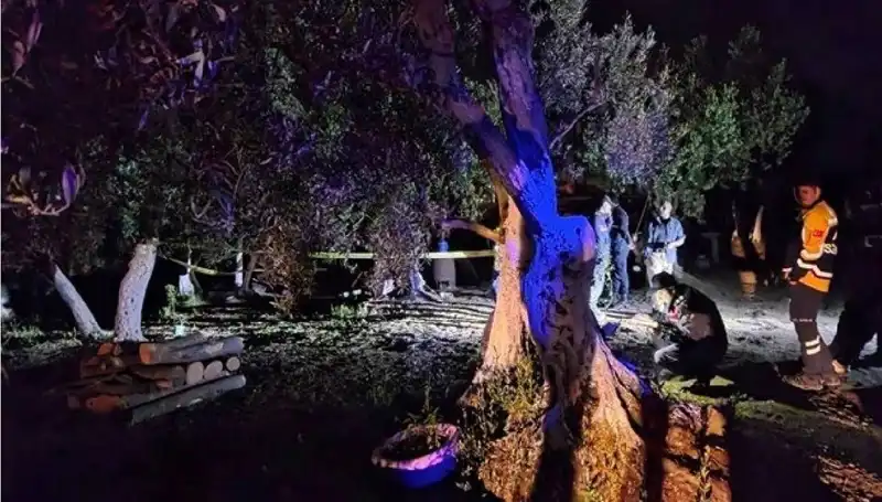 Çiftlikteki Baltalı Vahşet: Sırrı Açığa Çıkan Şok Edici Olay