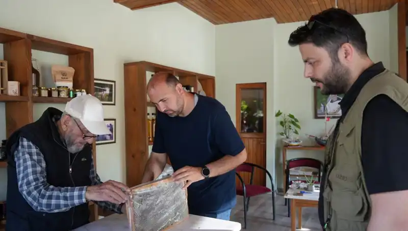 Hem Şifa Hem de Zehir: 1 Çay Kaşığıyla Yetenekli Besin Önerisi