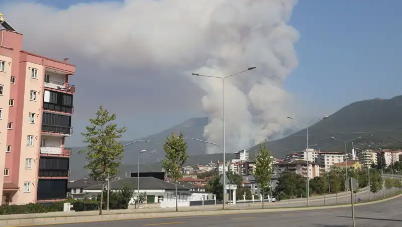 Denizli'de Orman Yangını: Şüpheli Gözaltına Alındı, Olayın Ardındaki Gerçek Nedir?