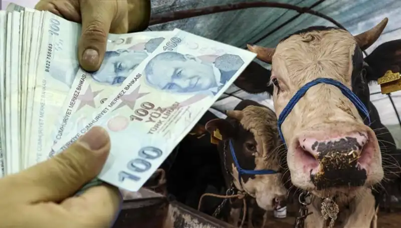 Kurban Bayramı Öncesi Maaşlar Yatacak mı? Tüm Detaylar Burada!