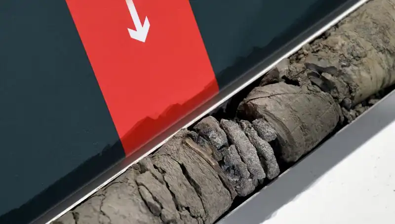 Müze Otoparkında Tarihi Bulgu: Dinozor Fosili Keşfedildi
