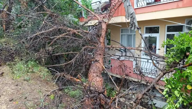 : Yağmur, Olumsuz Hava Koşullarıyla Birlikte Bina Çökmelerine Sebep Oldu